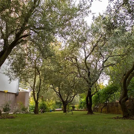 Apartamento Lena Zadar